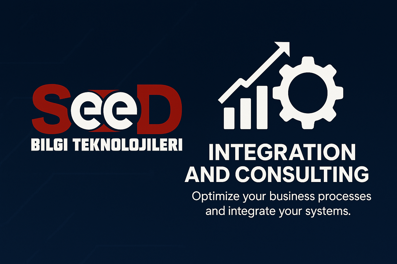 Integration and Consulting